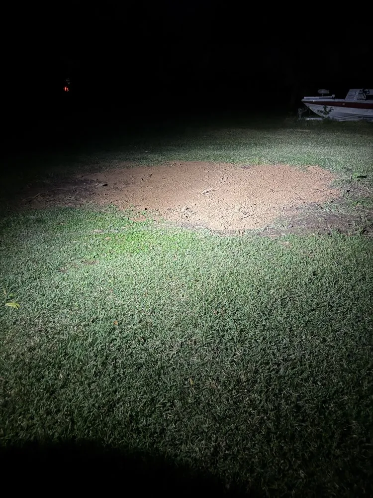 Expert yard cleanup service in Brazoria, TX - Branch Out Bros