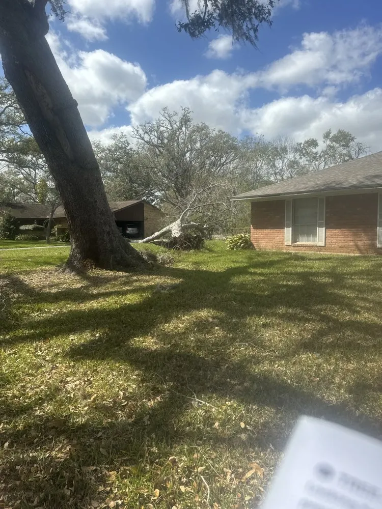 Professional landscaping services for outdoor upgrades across Brazoria, TX - Branch Out Bros