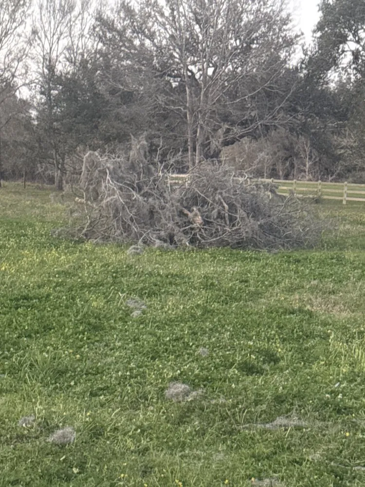 Reliable yard cleanup service in Brazoria, TX by Branch Out Bros