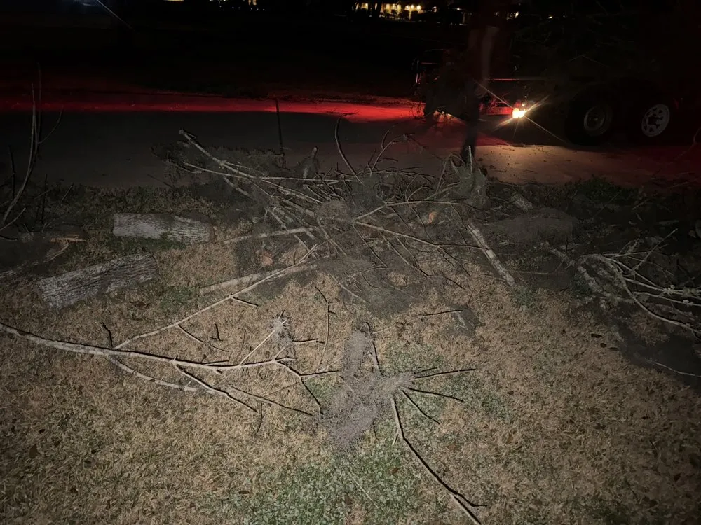 Trusted garden landscaping in Brazoria, TX by Branch Out Bros