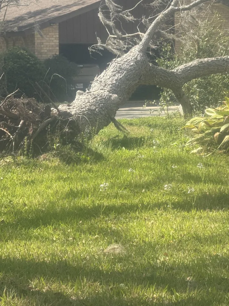 Professional landscape design in Brazoria, TX by Branch Out Bros