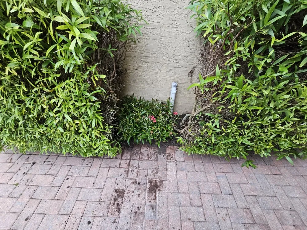 Professional landscape design in Homestead, FL by Branch Out Landscape & Property Maintenance