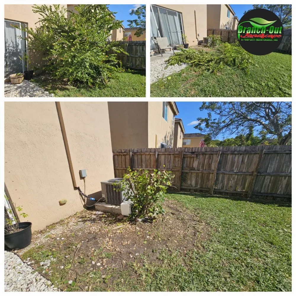 Professional landscape installation for outdoor upgrades in Homestead, FL by Branch Out Landscape & Property Maintenance