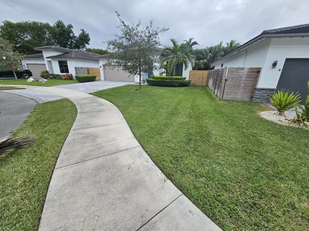 Professional lawn care service in Homestead, FL by Branch Out Landscape & Property Maintenance