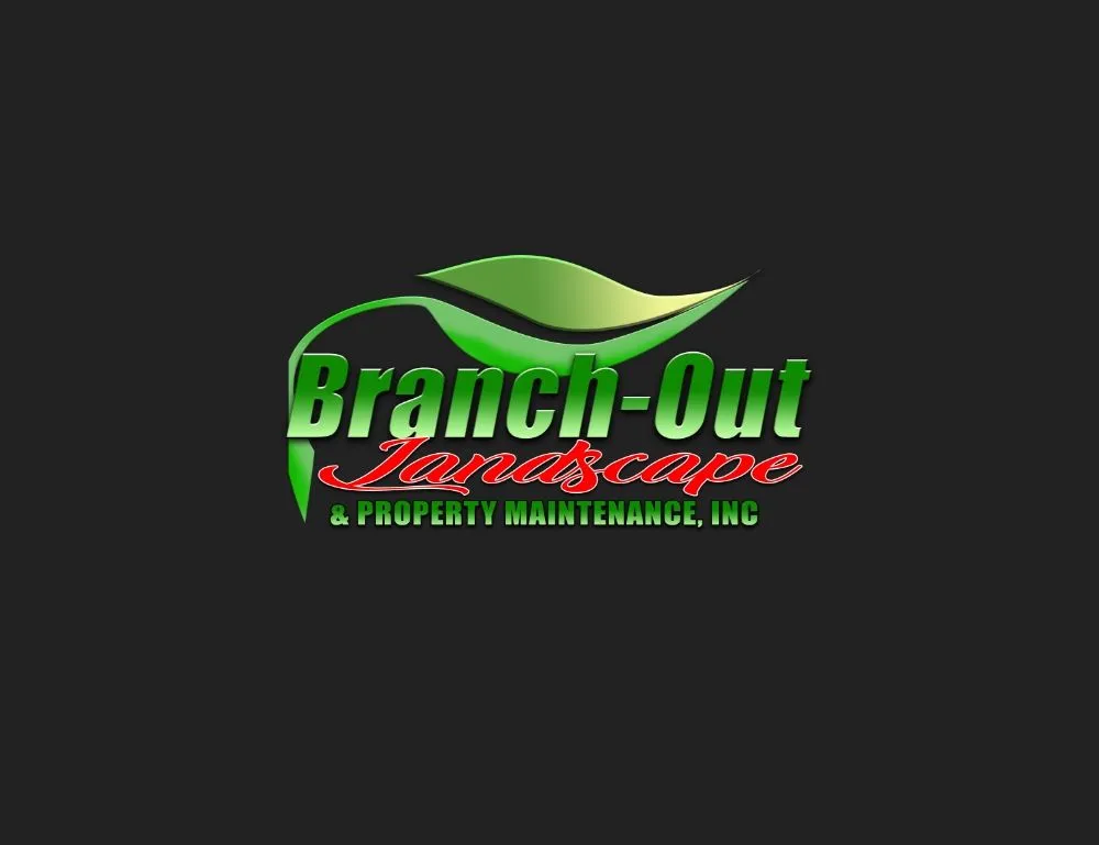 Expert yard cleanup service for outdoor upgrades across Homestead, FL - Branch Out Landscape & Property Maintenance