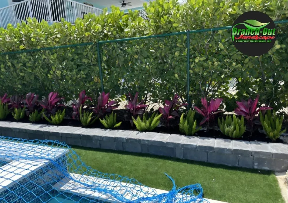 Local yard cleanup service experts serving Homestead, FL - Branch Out Landscape & Property Maintenance