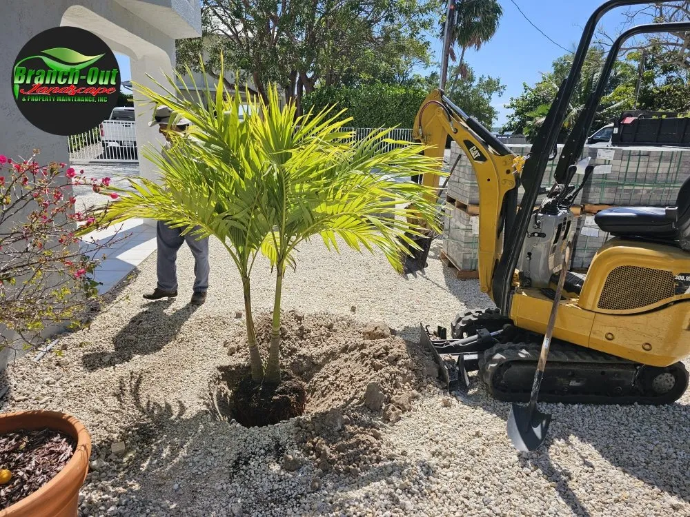 Affordable yard cleanup service near you across Homestead, FL - Branch Out Landscape & Property Maintenance