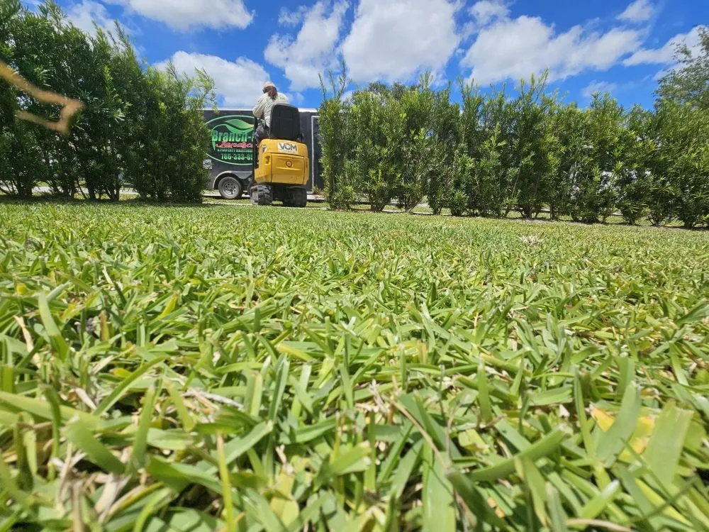 Reliable lawn care service for year-round maintenance across Homestead, FL - Branch Out Landscape & Property Maintenance