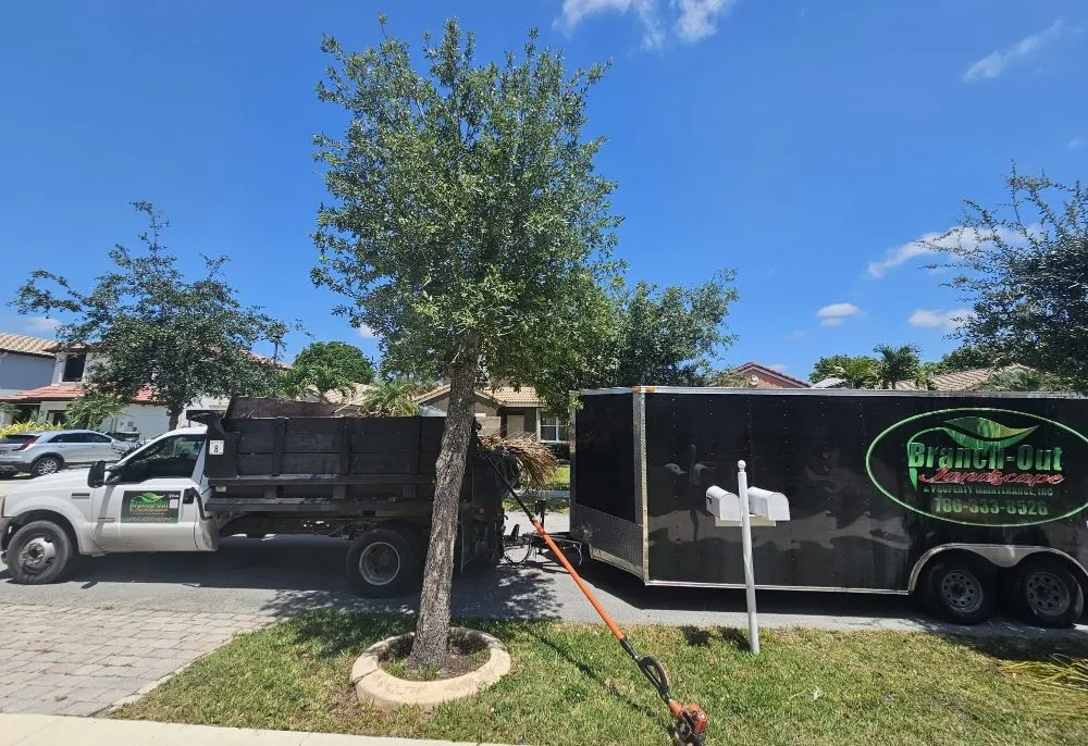 Professional garden landscaping in Homestead, FL by Branch Out Landscape & Property Maintenance