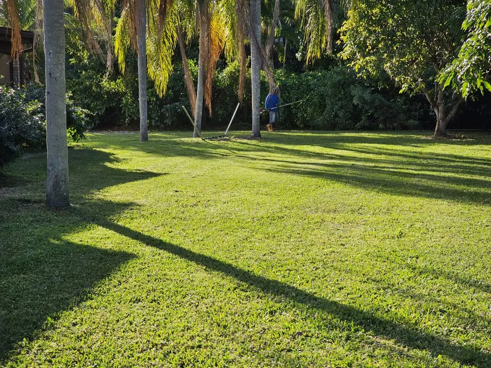 Affordable landscape design for homes in Homestead, FL by Branch Out Landscape & Property Maintenance