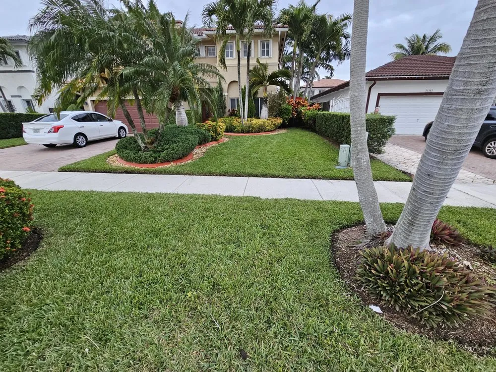 Expert yard maintenance for homes in Homestead, FL by Branch Out Landscape & Property Maintenance