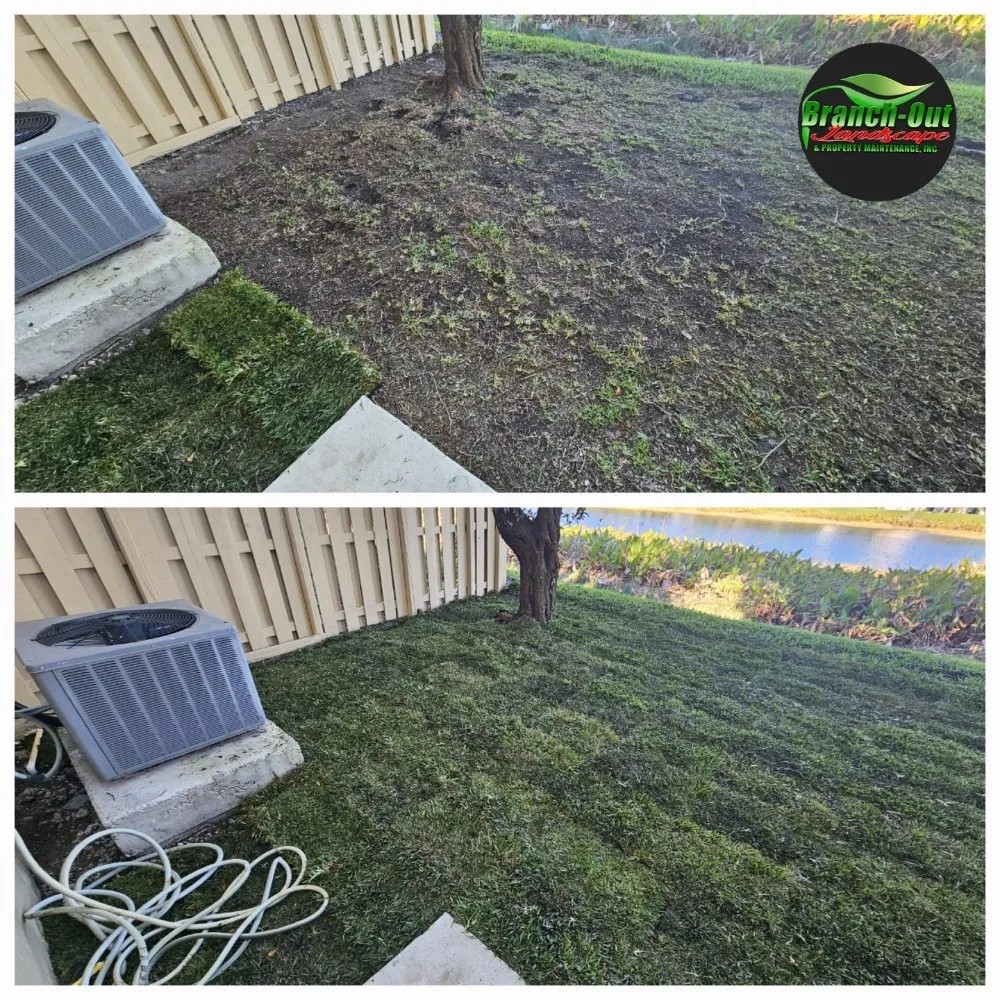 Reliable yard maintenance in Homestead, FL - Branch Out Landscape & Property Maintenance