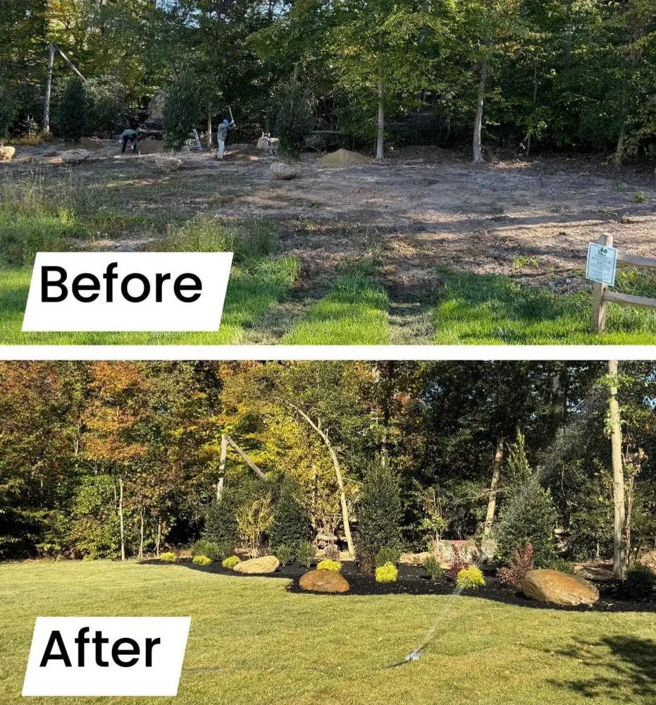 Reliable yard maintenance in Spotsylvania Courthouse, VA - Branch Out Tree Care