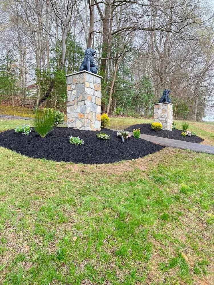 Top-rated lawn care service for year-round maintenance in Spotsylvania Courthouse, VA by Branch Out Tree Care