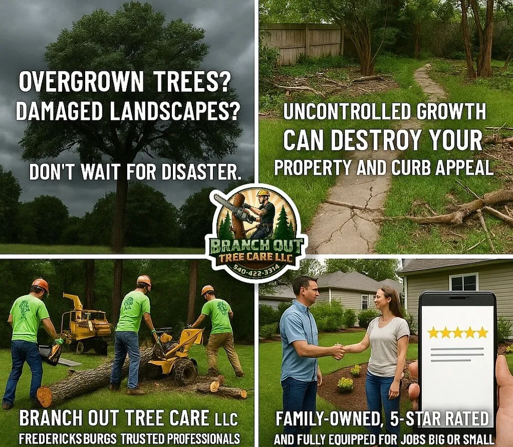 Professional landscape design near you in Spotsylvania Courthouse, VA by Branch Out Tree Care