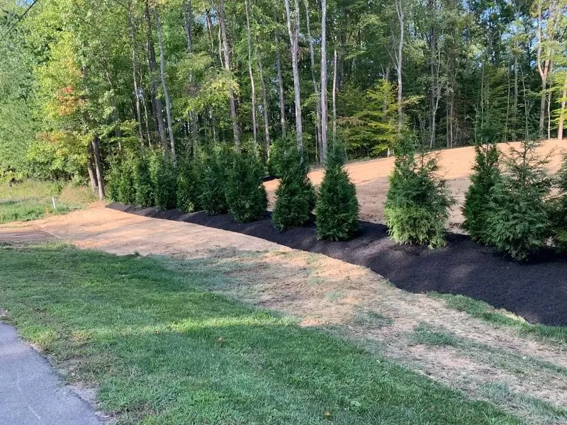 Affordable outdoor landscaping in Spotsylvania Courthouse, VA - Branch Out Tree Care