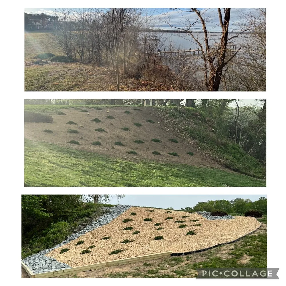 Top-rated landscaping services in Spotsylvania Courthouse, VA - Branch Out Tree Care