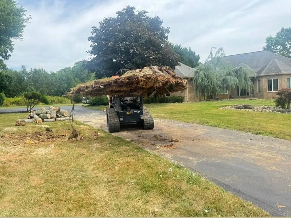 Top-rated lawn mowing service for beautiful yards in Spotsylvania Courthouse, VA by Branch Out Tree Care
