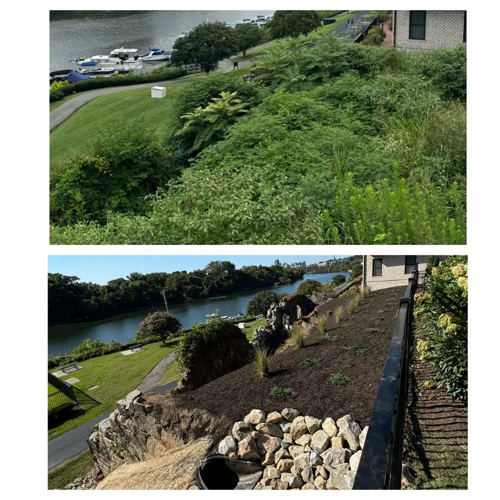 Top-rated lawn mowing service in Spotsylvania Courthouse, VA by Branch Out Tree Care