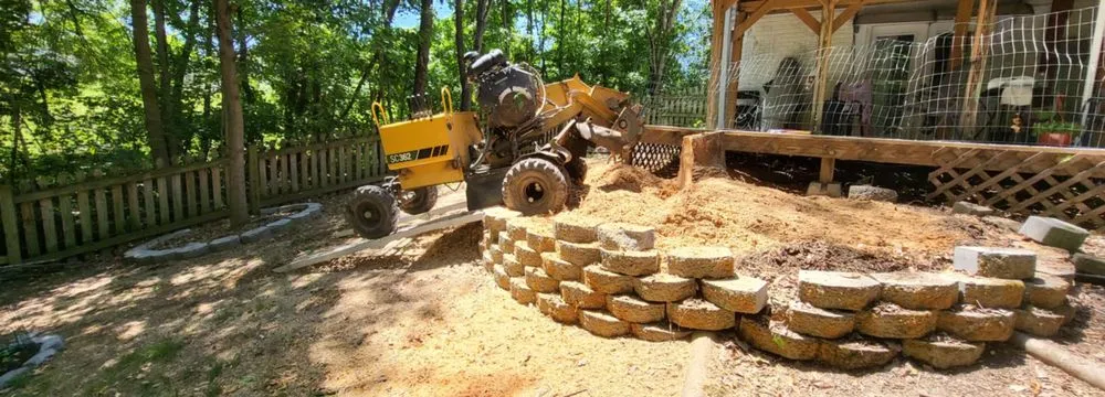 Trusted residential landscaping experts serving Spotsylvania Courthouse, VA - Branch Out Tree Care