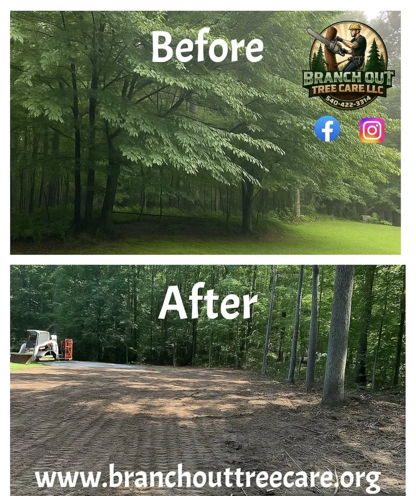 Reliable yard maintenance for homes across Spotsylvania Courthouse, VA - Branch Out Tree Care