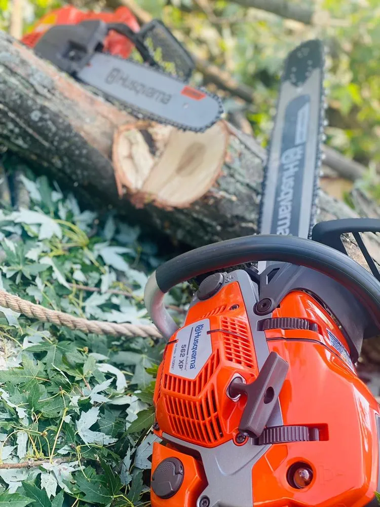 Custom lawn mowing service experts serving Buffalo, NY - Branch Specialists