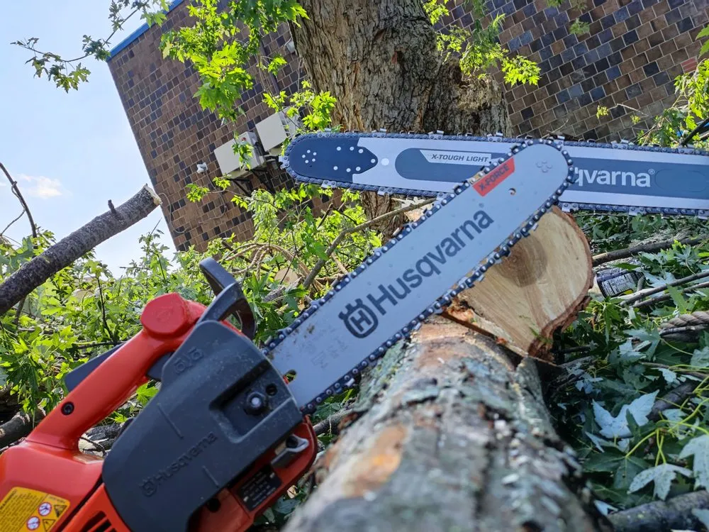 Expert landscape installation for residential properties in Buffalo, NY by Branch Specialists