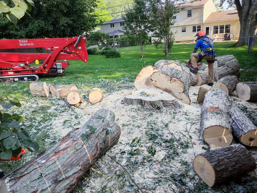 Affordable residential landscaping near you in Buffalo, NY by Branch Specialists