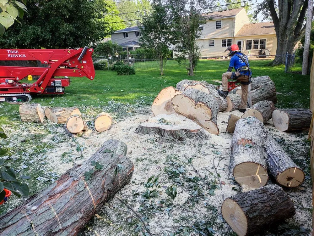 Reliable lawn care service in Buffalo, NY by Branch Specialists