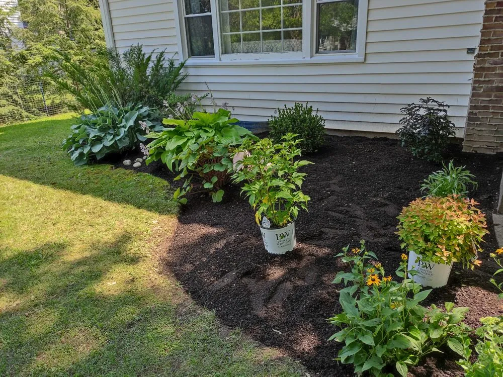 Custom lawn mowing service experts serving Buffalo, NY - Branch Specialists