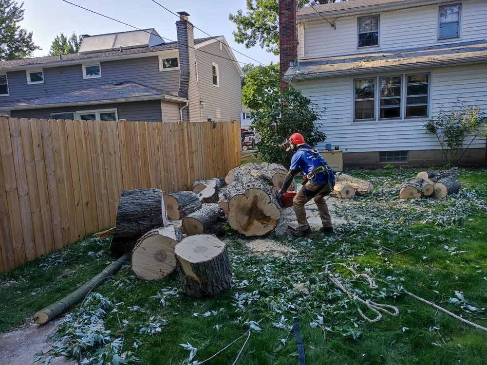 Top-rated landscaping services in Buffalo, NY by Branch Specialists