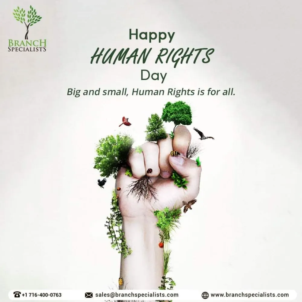 Expert landscape design in Buffalo, NY - Branch Specialists