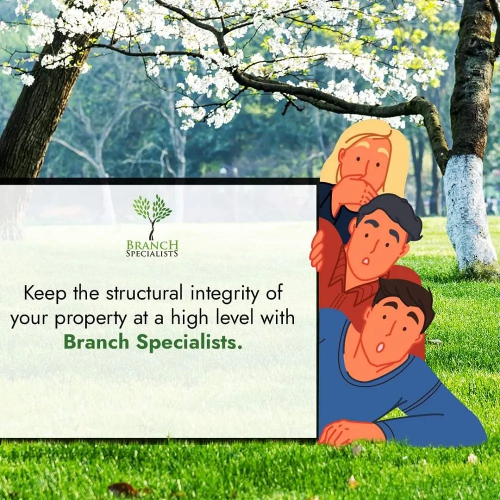 Affordable landscape design experts serving Buffalo, NY - Branch Specialists