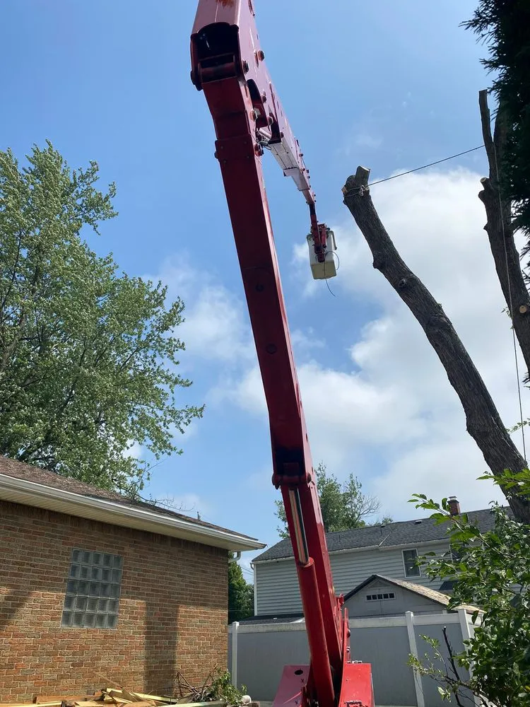 Custom yard maintenance in Buffalo, NY - Branch Specialists