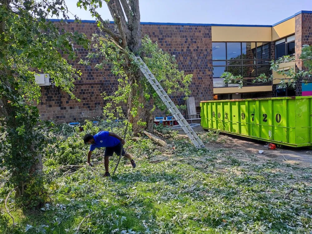 Affordable yard cleanup service for homes across Buffalo, NY - Branch Specialists