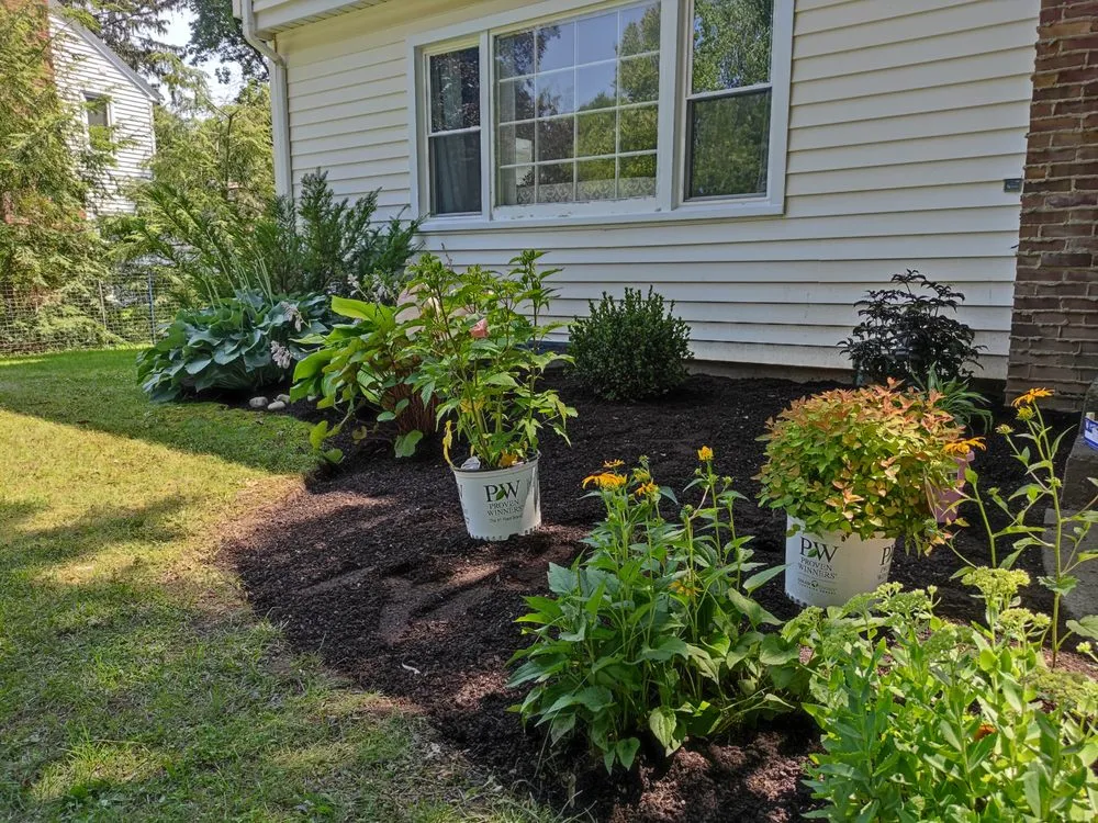 Custom outdoor landscaping experts serving Buffalo, NY - Branch Specialists