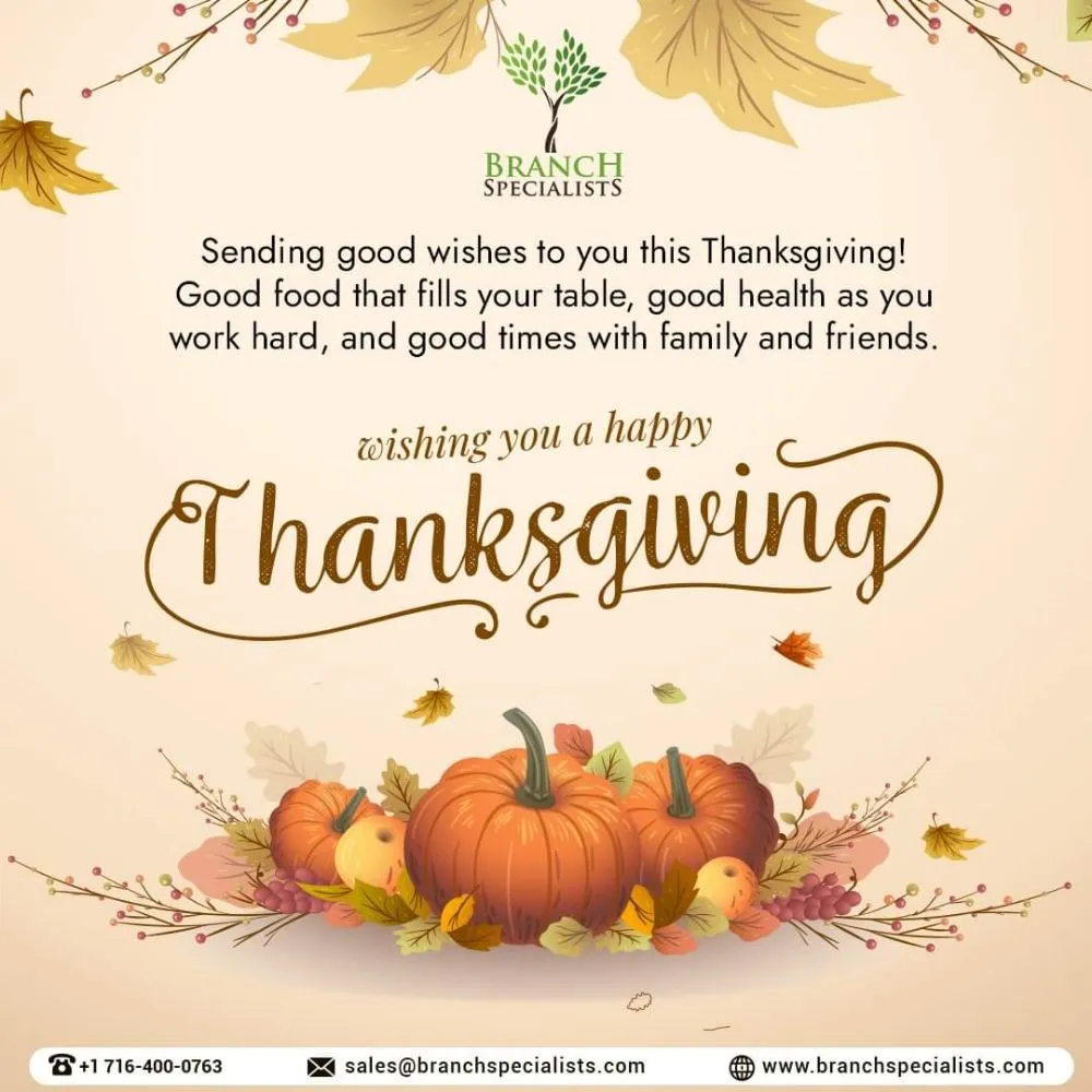 Professional residential landscaping for beautiful yards across Buffalo, NY - Branch Specialists