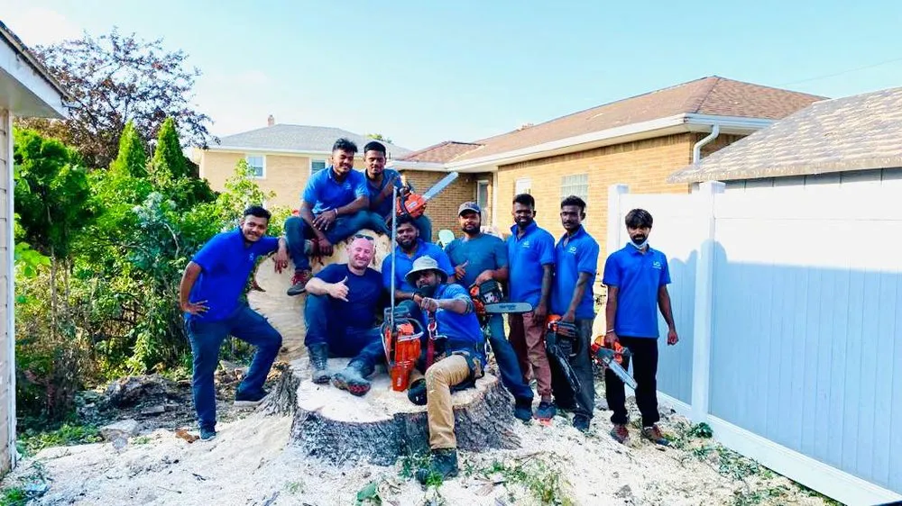 Top-rated yard cleanup service experts serving Buffalo, NY - Branch Specialists