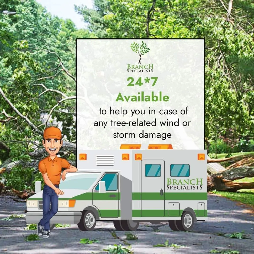 Reliable landscaping services for homes across Buffalo, NY - Branch Specialists