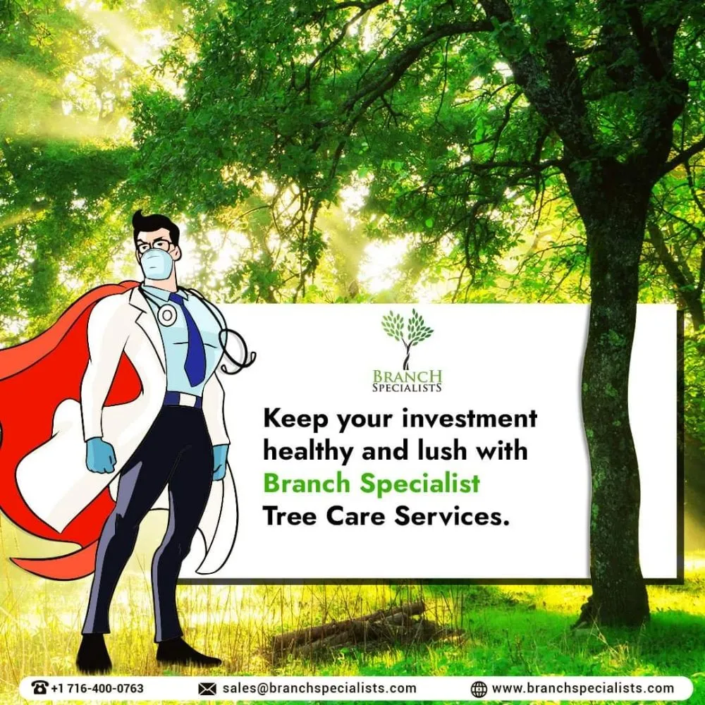 Trusted landscape design with custom design in Buffalo, NY by Branch Specialists