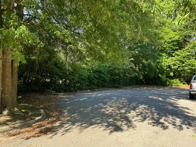 Expert residential landscaping experts serving Greenville, NC - Branch To Blade Lawn And Tree Care