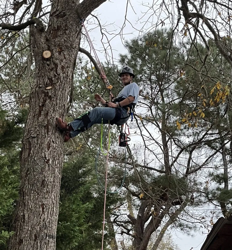 Affordable garden landscaping in Greenville, NC - Branch To Blade Lawn And Tree Care