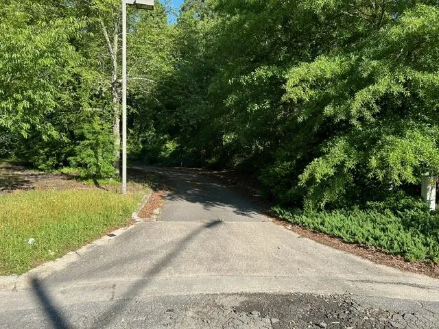 Local landscaping services near you in Greenville, NC by Branch To Blade Lawn And Tree Care