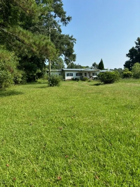 Top-rated yard maintenance in Greenville, NC by Branch To Blade Lawn And Tree Care