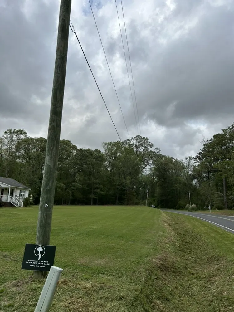 Top-rated landscaping services near you across Greenville, NC - Branch To Blade Lawn And Tree Care