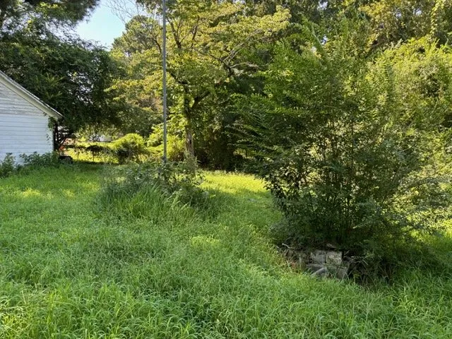 Professional outdoor landscaping near you in Greenville, NC by Branch To Blade Lawn And Tree Care