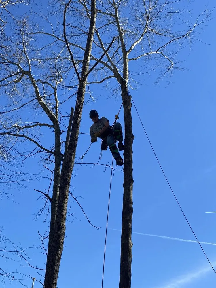 Top-rated lawn mowing service near you in Greenville, NC by Branch To Blade Lawn And Tree Care