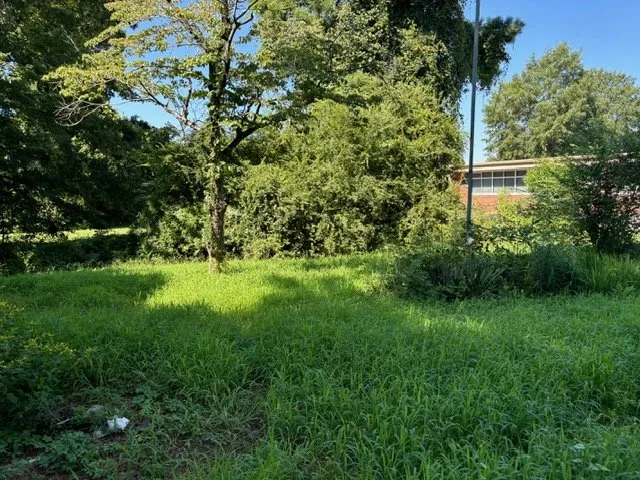 Reliable lawn care service in Greenville, NC by Branch To Blade Lawn And Tree Care