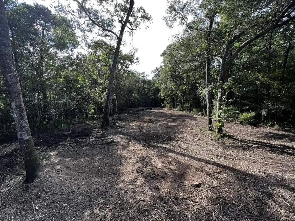 Top-rated garden landscaping for residential properties in Barney, GA by Branch To Branch Land Management