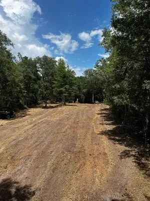 Branch To Branch Land Management